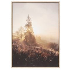 Glezna 4Living Saule aiz egles 50x70cm