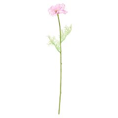 Mākslīgie ziedi 4Living Kosmejas 55cm