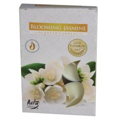Tējassvece Aura Blooming Jasmine 3-4h 6gab.