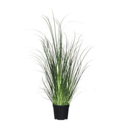 Mākslīgie augi 4Living Grass 70cm