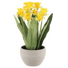 Mākslīgie augi 4Living Narcise 24cm