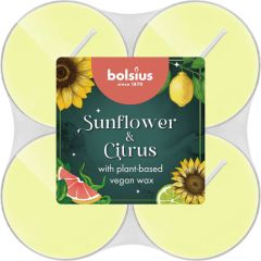 Svece arom. Bolsius Sunflower & Citrus