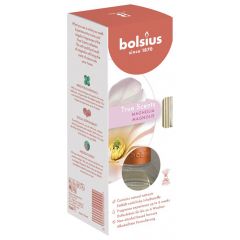 Gaisa atsvaidzinātājs 60ml Magnolia