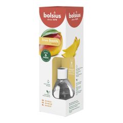 Gaisa atsvaidzinātājs 60ml Mango
