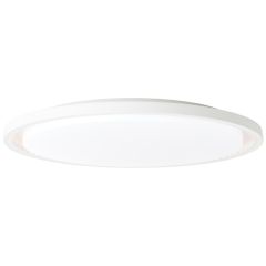 Pl.l.-BRIANT 40W LED 2700-6500K 3076lm balta ar pulti