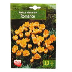 Sīpolpuķes Krokusi Romance 5/7 10gab.