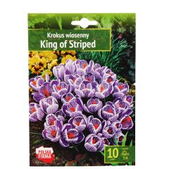 Sīpolpuķes Krokusi King Of Striped 7/8 10gab.