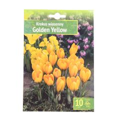 Sīpolpuķes Krokusi Golden Yellow 7/8 10gab.