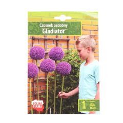 Sīpolpuķes dekoratīvās Gladiator 18/20 1gab.