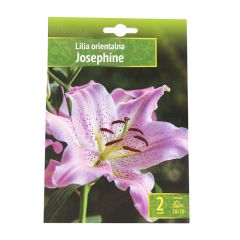 Sīpolpuķes Lilijas Austrumu Josephine 18/20 2gab.