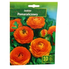 Sīpolpuķes Gundegas oranžas 6 + 10gab B-K21A