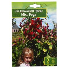 Sīpolpuķes Lilija Miss Feya 16 18 2gab B-K372B