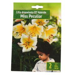 Sīpolpuķes Lilijas Miss Peculiar 16 18 2gab