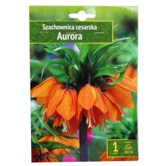 Sīpolpuķes Karaliskā fritilārija Aurora 20/24 1gab.