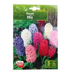 Sīpolpuķes Hiacintes Mix 14/15 3gab.