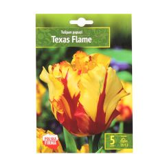Sīpolpuķes Tulpes papag.Teksas Flame 11/12 5gab.