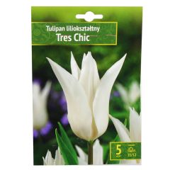 Sīpolpuķes Tulpes lilijziedu Tres Chic 11/12 5gab.