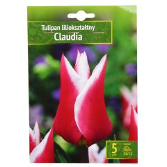 Sīpolpuķes Tulpes Claudia 11/12 5gab.