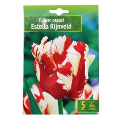 Sīpolpuķes Tulpes Estella Rijveld 11/12 5gab.