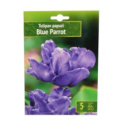Sīpolpuķes Tulpes Blues Parrot 11/12 5gab.