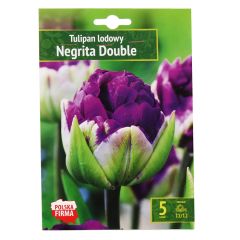Sīpolpuķes Tulpes Negrita Double 11/12 5gab.