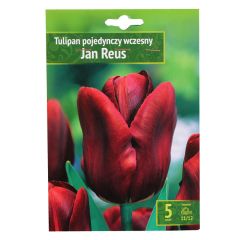 Sīpolpuķes Tulpes Jan Reus 11/12 5gab.
