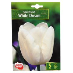 Sīpolpuķes Tulpes White Dream 12/+ 5gab.