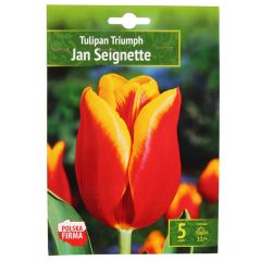 Sīpolpuķes Tulpes Jan Seignette 12/+ 5gab.