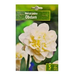 Sīpolpuķes Narcises OBDAM 14/16 3gab.