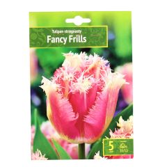 Sīpolpuķes Tulpes FANCY FRILLS 11/12 5gab.