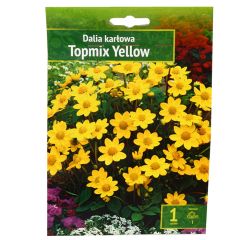 Sīpolpuķes Dālijas Topmix Yellow 1gab.