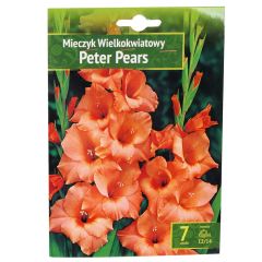 Sīpolpuķes Gladiolad PETER PEARS 12/14 7gab.