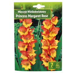 Sīpolpuķes Gladiolas Princess Margaret Rose 12/14 7gab.