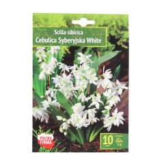 Zilsniedzītes Sibirica White 7/8