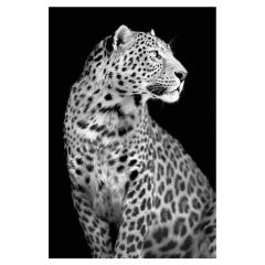 Foto glezna 120x80 Leopard  82201