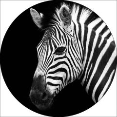 Foto glezna D60cm Zebra 93771