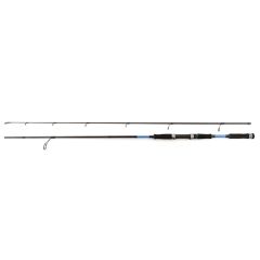 Spinings Rod Rodman Big Pike 2.60m