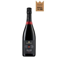 Dzirkst.vīns Solicum Valdobbiadene Superiore 11.5% 0.75l