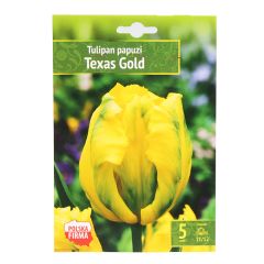 Sīpolpuķes Tulpes papagaiļziedu Texas Gold 11/12 5gab.