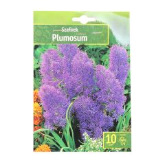 Sīpolpuķes Muskares Plumosum 7/8 10gab.