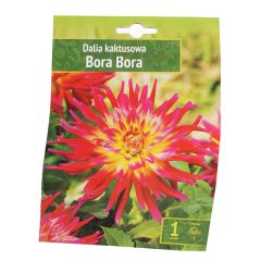 Sīpolpuķes Dālijas Bora Bora 1gab.