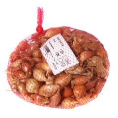 Sīksīpoli Rolein 21-24mm ziemas 0.5kg