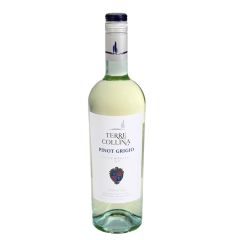 Vīns Terre Collina Pinot Grigio 12% 0.75l sauss, balts