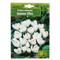 Sīpolpuķes Krokusi Jeanne D Arc 10gab