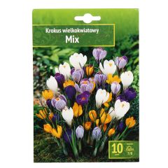 Sīpolpuķes Krokusi lielziedu mix 10gab