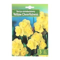 Sīpolpuķes Narcises Yellow Cheerfulness 3gab