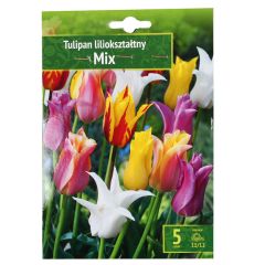 Sīpolpuķes Tulpes lilijziedu Mix 5gab