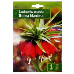 Sīpolpuķe Karaliskā fritilārija Rubra Maxima