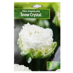 Sīpolpuķes Tulpes Snow Crystal 5gab.