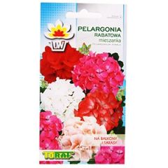 Sēklas Pelargonijas zonālās ziedu mais.0.1g